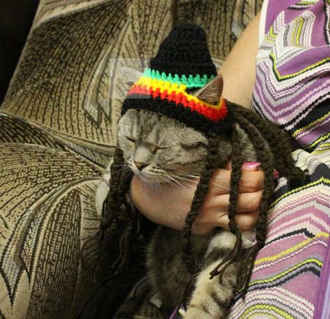 Rasta Hat Cat Crochet Pattern/ Diy Crochet Pattern Rasta Hat / - Etsy Canada No Sew Crochet Pattern, No Sew Crochet, Rasta Hat, Cat Crochet Pattern, Diy Crochet Patterns, Cat Crochet, Aesthetic Cat, Crochet Needles, Halloween Aesthetic