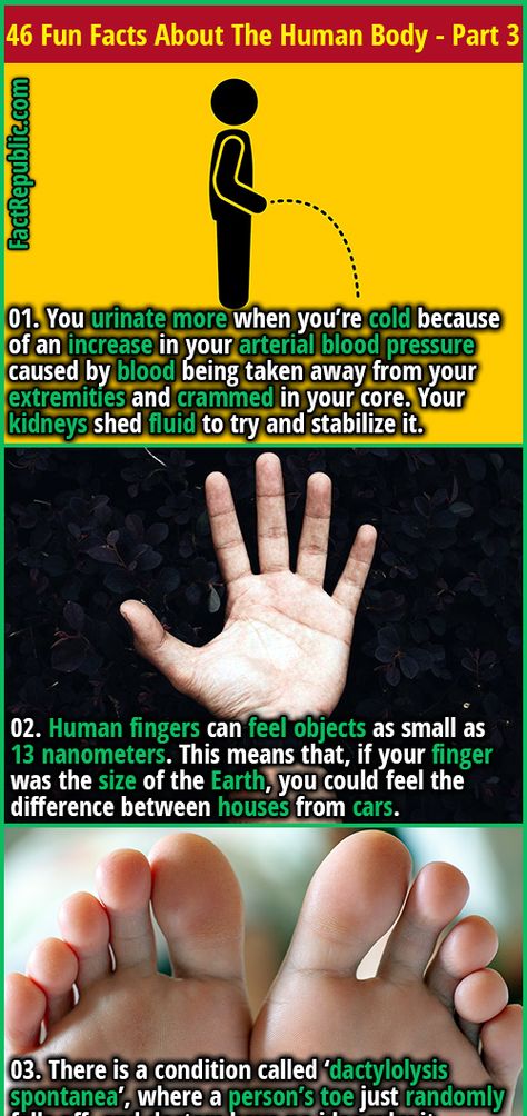 46 Fun Facts About The Human Body That’ll Get Your Brain Going - Part 3 | Fact Republic Human Finger, Fact Republic, Doctor Advice, Human Body Parts, Health And Fitness Magazine, Healthy Diet Tips, Natural Cough Remedies, Daily Health Tips, Fitness Advice