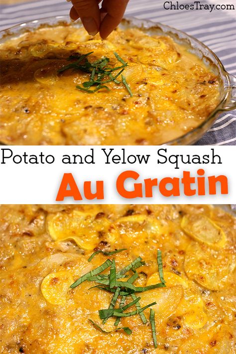 Potato and Yellow Squash Au Gratin - Chloe's Tray Dinner Ideas With Yellow Squash, Yellow Squash Au Gratin Casserole, Yellow Squash Potatoes Recipes, Yellow Squash Gratin, Potato Squash Casserole, Yellow Squash And Sweet Potato Recipes, Potato And Squash Casserole, Squash Potato Casserole, Yellow Squash And Potato Recipes