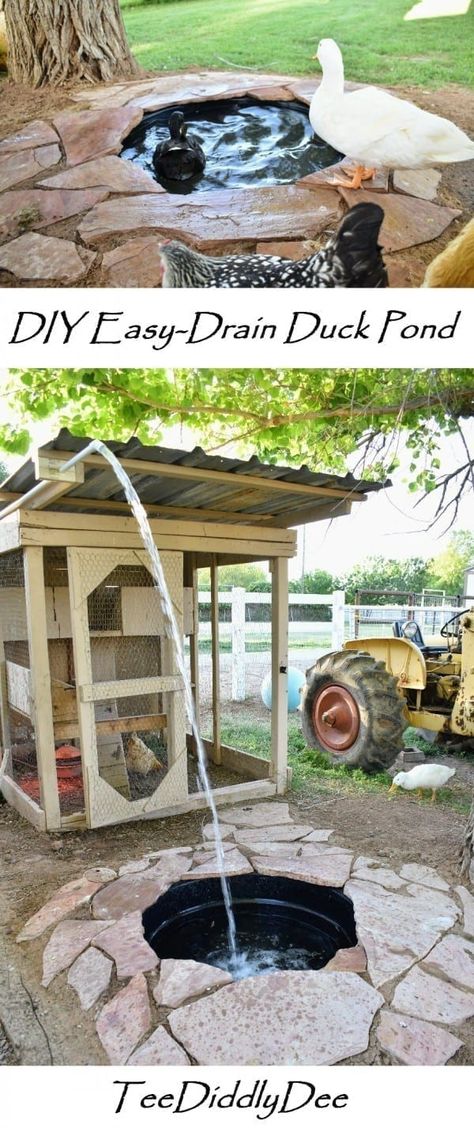 Duck Pond Ideas, Duck House Diy, Duck Enclosure, Duck Pens, Backyard Ducks, Pool Diy, Duck Coop, Duck Farming, Diy Pond