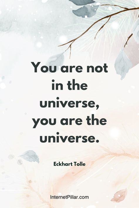 You are not in the universe, you are the universe. Quotes About Universe, Quotes About The Universe, Quotes Intelligence, Passionate Love Quotes, Universe Quotes Spirituality, Science Quotes, Universe Quotes, Awakening Quotes, Be Interesting