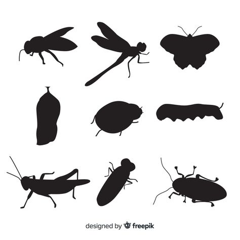 Bugs Silhouette, Insect Silhouette, Bug Silhouette, Silhouette Butterfly, Stick Bug, Lino Cuts, Bug Collection, Insect Collection, Pet Ideas