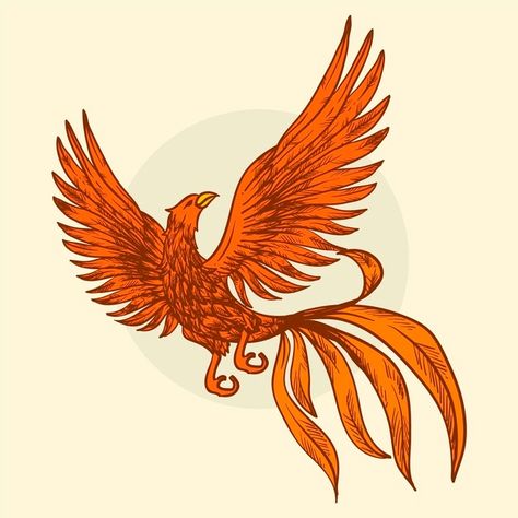 Phoenix Graphic Design, Phoenix Bird Images, Fenix Bird, Phoenix Vector, Phoenix Drawing, Old Paper Background, Phoenix Art, Phoenix Bird, Free Hand Drawing