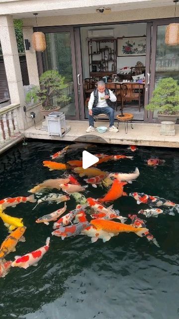 NATURE🏝 | BIRDS🐦 | ANIMALS🦄 on Instagram: "beautiful and colorful fishes🐟🐳" Koi Pond Design, Fish Pond Gardens, Koi Ponds, Handmade Tableware, Pond Life, Koi Fish Pond, Pond Design, Nature Birds, Fish Pond