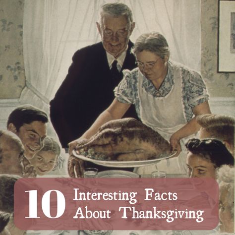 10 Unique and Interesting Fun Facts About Thanksgiving. The Thanksgiving holiday has a long and storied history and has sparked many unique traditions. Here are 10 interesting fun facts about Thanksgiving. Thanksgiving History Facts, Facts About Thanksgiving, Freedom From Want, Painting Freedom, Interesting Fun Facts, Thanksgiving History, Thanksgiving Facts, Norman Rockwell Paintings, 10 Interesting Facts