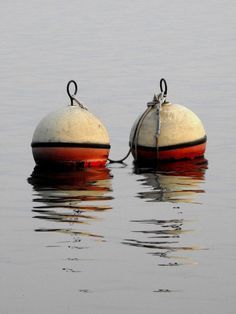 . Buoys Art, Buoy Decor, Summer Paintings, Old Boats, The Lobster, The Seaside, Lake Life, Beach Cottages, Sailboats