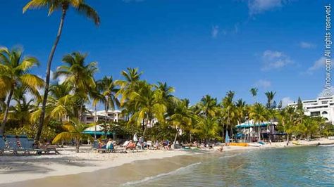 Cowpet Bay via @Virgin_Islands St Thomas Beaches, The Us Virgin Islands, St Thomas Usvi, Water Island, The Virgin Islands, Best Snorkeling, Coconut Trees, St Croix, Us Virgin Islands