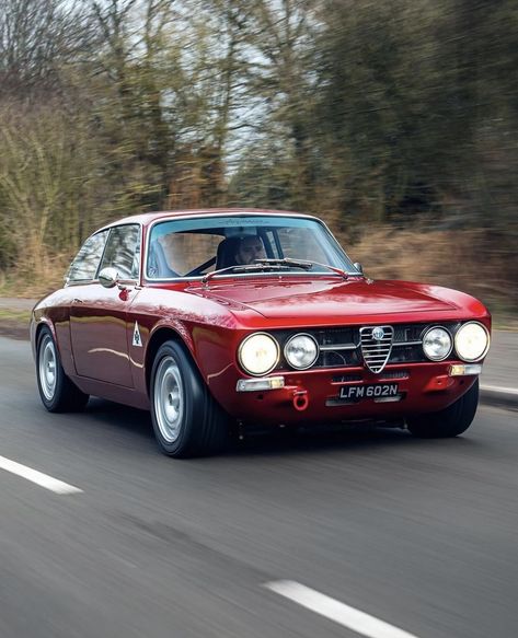 Alfa Bertone, Alfa Romeo Junior, Alfa Cars, Alfa Romeo Gta, Alfa Romeo Gtv, Luxury Cars Rolls Royce, Vintage Sports Cars, Alfa Romeo Cars, Alfa Romeo Giulia