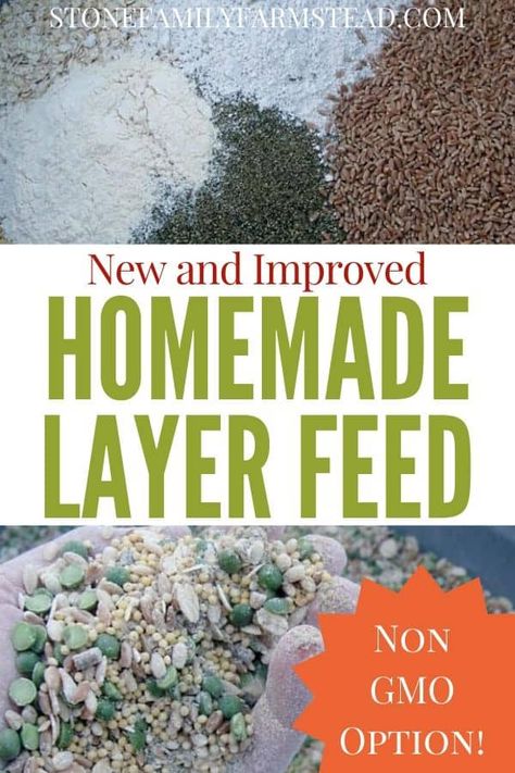 Mixing layer feed for chickens can be daunting, but not when you are using this recipe. Try my homemade layer feed formulation and avoid GMOs altogether. #homemade layer feed #make your own chicken layer feed #chickenlayer feed #feedingchickens #properchickennutrition #chickennutrition Feed For Chickens, Chicken Feed Diy, Chicken Layer Feed, Organic Chicken Feed, Layer Feed, Feeding Chickens, Layer Chicken, Portable Chicken Coop, Pins Board