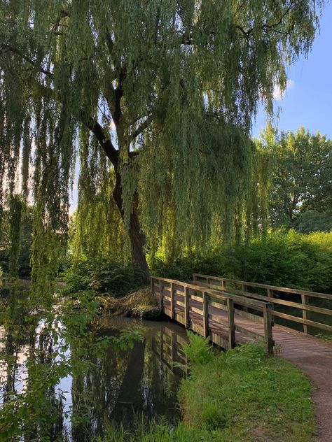 House With Willow Tree, Country List, Weeping Willow Tree, Pretty Trees, Meditation Garden, Green Country, Weeping Willow, Countries In The World, Pretty Landscapes