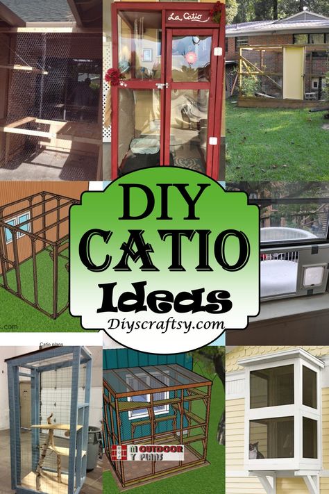 22 Easy DIY Catio Ideas And Plans - DIYS Craftsy Outdoor Kitty Enclosures, Catery Outside, Patio Cat Enclosure Diy, Porch Cat Enclosure, Cat Coop Ideas, Cat Condos Diy Easy, Cat Cage Outdoor Ideas, Small Outdoor Cat Enclosure, Cat Outside Enclosure Diy Outdoor