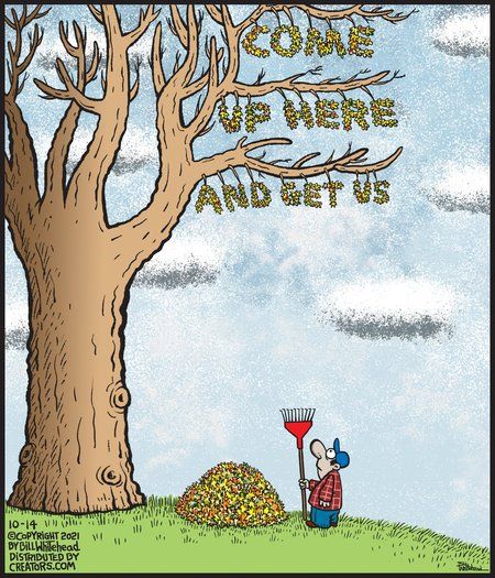 Thanksgiving Meme, September Pictures, Garden Poems, Fall Funny, Fall Humor, Funny Motivational Quotes, Far Side, Weather Seasons, Autumn Scenes