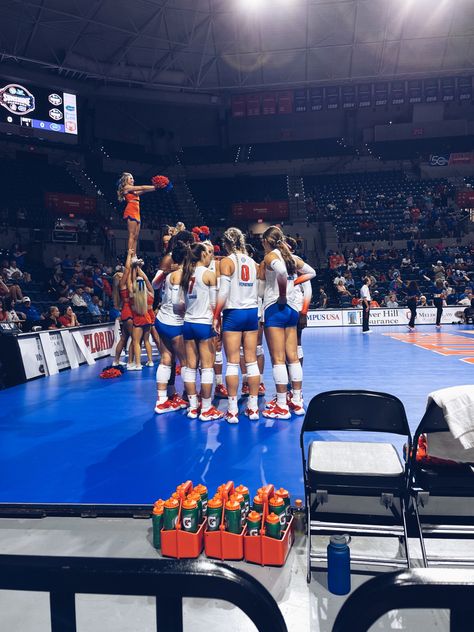 Florida Volleyball, Uf Gators, Dream Collage, Bff Birthday, College Aesthetic, Dream College, Dream School, University Life, University Of Florida