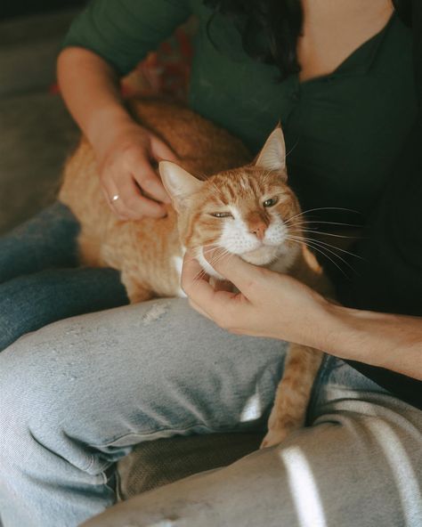 When you all bond over a shared love for Black Mirror (specifically San Junipero) and putting an excessive amount of sugar in our coffees. 😌 A + G are getting hitched next summer and wanted to celebrate their engagement milestone with intentional, documentary style photos of their time at home together. There’s nothing better than a slow morning spent lounging on the couch, dancing in the kitchen, sipping hot coffee, playing your favourite board games getting the occasional snuggle from your... San Junipero, Slow Morning, Dancing In The Kitchen, Getting Hitched, Cinematic Wedding, Home Together, Played Yourself, Black Mirror, Hot Coffee