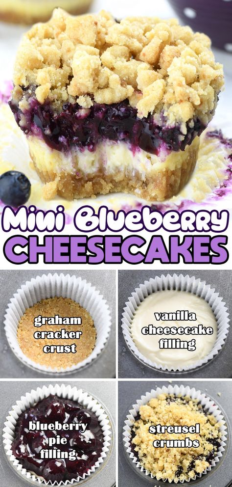 Mini Blueberry Cheesecakes Fruit Mini Cheesecake, Stuff To Make With Blueberries, Mini Cheesecakes Blueberry, August Baking Ideas, Mini Baked Goods, Desserts With Blueberries, August Desserts, Blueberry Cheesecake Recipes, Homemade Blueberry Pie Filling