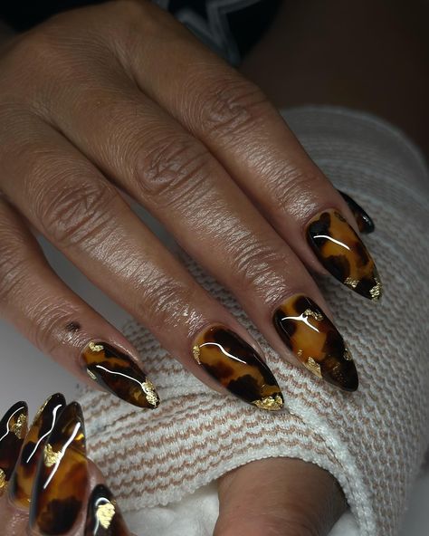 Tortoise Almond Nail Designs, Torties Nails, Tortious Shell Nails French, Toirtoshell Nails, Tortoise Nails Design, Tortishell Nails Design, Gator Nails, Tortoise Nails, Almond Acrylic Nails Designs