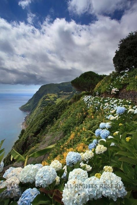 Composition Photo, São Miguel Island, Places In Portugal, Visit Portugal, Portugal Travel, Spain And Portugal, Incredible Places, Beautiful Islands, Travel Around The World