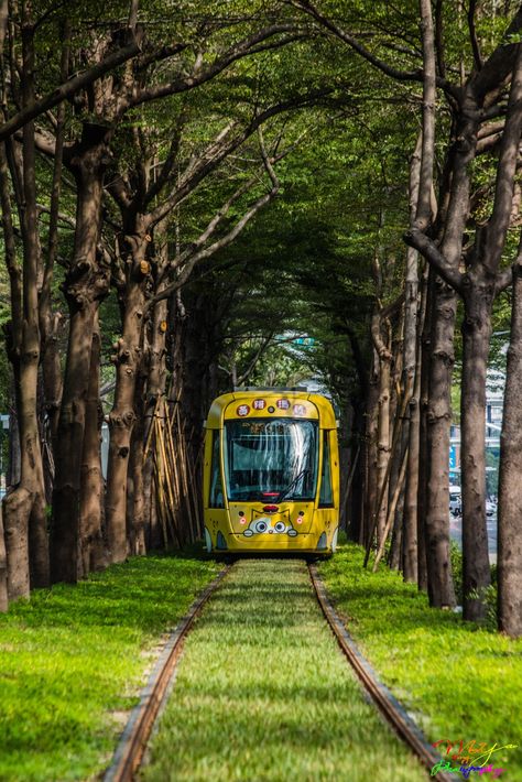 Kaohsiung Totoro Tunnel (Between C21A & C21 of KMRT System) ~ Zouying District, Kaohsiung City, Taiwan Taipei Taiwan Aesthetic, Taipei Photography, Taiwan Aesthetic, Taiwan Photography, Taiwan Culture, Taiwan Kaohsiung, Kaohsiung Taiwan, Tainan Taiwan, Asia City