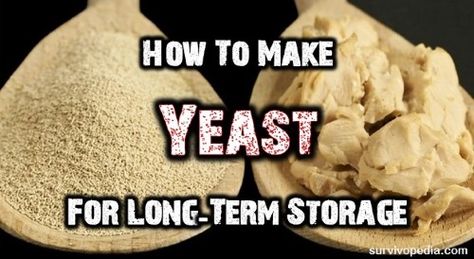 Bread, beer, and wine are all foods that have been part of history for eons, but they all require yeast to make.What if SHTF? Packaged yeasts are great, but Yeast Starter, Dehydrated Food, Emergency Food, Survival Food, Food Supply, Bread Recipes Homemade, Camping Food, Canning Recipes, Baking Tips