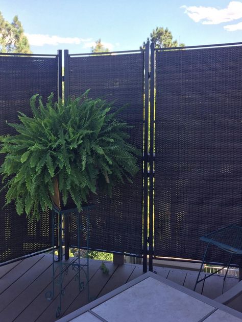 Looking for a way to bring privacy to your deck or patio without taxing your budget? Try one of these clever solutions for a more secluded outdoor space. Privacy Screen Plants, Diy Privacy Screen, Patio Pictures, Patio Privacy Screen, Deck Privacy, Balcony Privacy, Concrete Patios, Patio Privacy, Patio Pergola