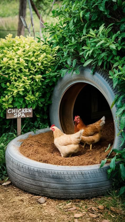 ideas Cute Chicken Coops, Chicken Coop Garden, Backyard Chicken Coop Plans, Backyard Chicken Coop, Dust Bath, Diy Chicken Coop Plans, Chicken Care, Chicken Life, Backyard Chicken Farming