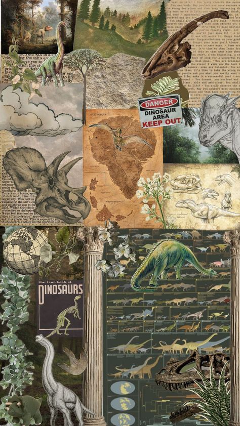 Palentogist Aesthetic, Paleontology Wallpaper, Paleontologist Aesthetic, Fossil Wallpaper, Paleontology Aesthetic, Dinosaur Aesthetic, Jurassic World Wallpaper, College Wallpaper, Dinosaur Facts