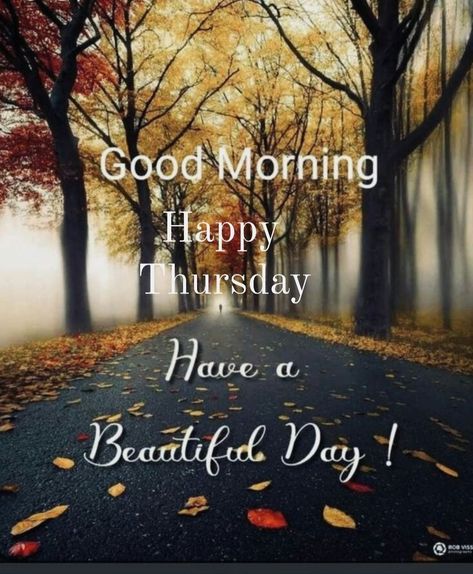 Good Morning Happy Thursday, Good Morning Thursday, Thursday Morning, Good Morning Happy, Have A Beautiful Day, Happy Thursday, Morning Wish, Morning Wishes, Good Morning Wishes