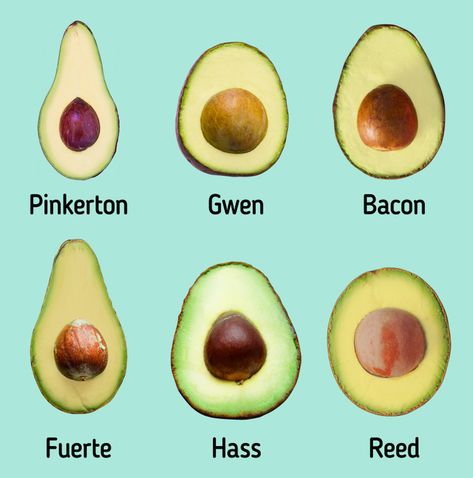 Get to Know Different Types of Avocados / 5-Minute Crafts Types Of Avocado, Green Color Meaning, Unripe Avocado, Avocado Types, Mexican Avocado, How To Make Guacamole, Cut It, 5 Minute Crafts, Tropical Plants