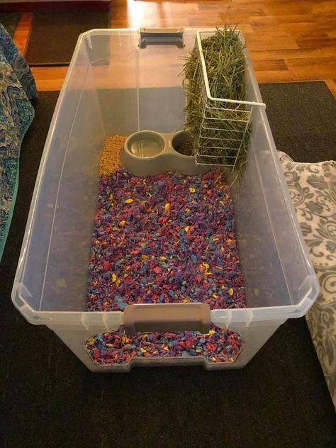 Diy Hay Feeder For Rabbits, Diy Bunny Litter Tray, Diy Rabbit Litter Box And Hay Feeder, Hay Storage Ideas Bunny, Diy Rabbit Hay Feeder, Diy Hay Feeder Rabbit, Guinea Pig Litter Box Ideas, Bunny Litter Box Ideas, Bunny Playground