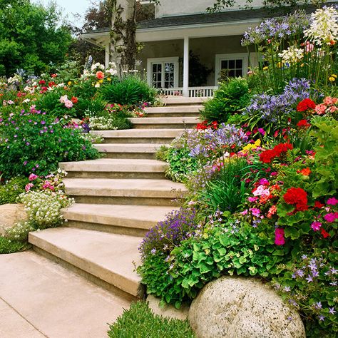 Steps convert a slope from inaccessible to inviting. Wide steps that meander or zigzag up a steep slope are easier to climb than those that escalate rapidly. Test Garden Tip: Begin building at the base of your slope if you're not sure where to add your stairs. Try climbing the slope along several different paths until you find the most comfortable route./ Sloped Backyard Landscaping, Landscaping A Slope, Garden Problems, Sloped Yard, Sloped Backyard, Hillside Landscaping, Sloped Garden, Garden Solutions, Front Yards