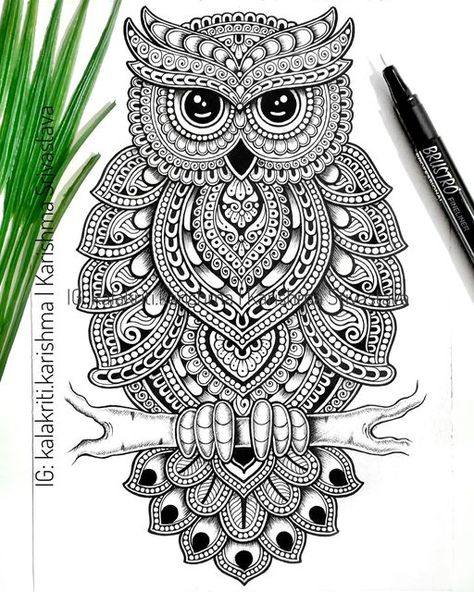 Owl Mandala Art, Elephant Mandala Art, Kalakriti Karishma, Zentangle Animals Art, Zentangle Elephant, Mandala Owl, Owl Outline, Awesome Paintings, Owl Tutorial