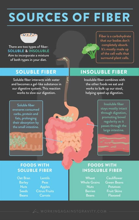 Fiber: What It Is and How to Get It - Working Against Gravity Types Of Fibres, Fiber Diet, High Fiber Diet, Soluble Fiber, High Fiber Foods, Nutrition And Dietetics, Sources Of Fiber, Fiber Foods, Health Knowledge