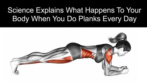 Planks are one of the hardest ab exercises out there, but they're worth it! Science explains what happens to your body when you do planks every day... 30 Day Plank, 30 Day Plank Challenge, Calendula Benefits, Coconut Health Benefits, Plank Challenge, Ab Exercises, Plank Workout, Strong Core, Feel Younger