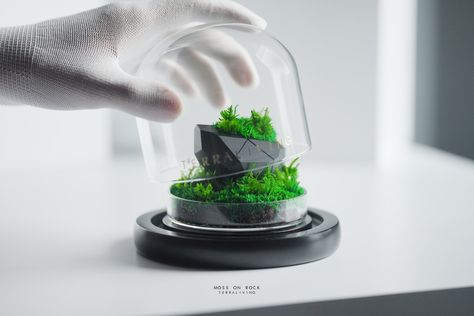 "Moss on Rock" is a desktop terrarium that combines the intricate patterns of tessellated geometries found on rocky surfaces with the latest advances in 3D-printing technology. The use of ZERO Moss symbolizes the passage of time and thought and served as a reminder of the timelessness of the natural world. As light dances across the 3D-printed "R - Rocks", it highlights the complex interplay between form and function. #terraliving #tessellation #mossonrock #terrarium #minimalist #3dprint Desktop Terrarium, Passage Of Time, Art And Science, 3d Printing Technology, Power Of Nature, Gardening Plants, The Natural World, Intricate Patterns, Natural World