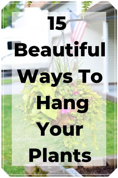 Hanging Plants Garden, Backyard Sandbox, Hang Plants, Vase Project, Hanging Plants Outdoor, Hanging Plants Diy, Plants Hanging, Gardening Diy, Hanging Plants Indoor