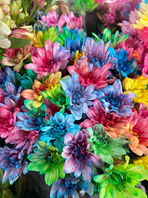 Rainbow flowers bouquet aesthetic Rainbow Flower Arrangement, Aesthetic Bouquet, Chrysanthemum Bouquet, Daisy Bouquet, Beautiful Bouquet Of Flowers, Bratz Doll, Rainbow Flowers, Beautiful Bouquet, Chrysanthemum