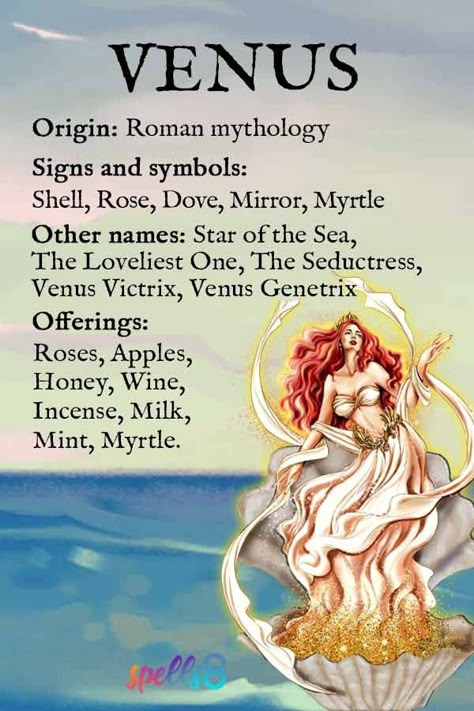 Venus, Goddess of Love: Symbols, Myths & Offerings – Spells8 Horned God And Goddess, Venus In Astrology, Goddess Venus Aesthetic, Venus Art Goddesses, Venus Worship, Venus Bathroom, Venus Goddess Aesthetic, Venus Greek Goddess, Venus Roman Goddess