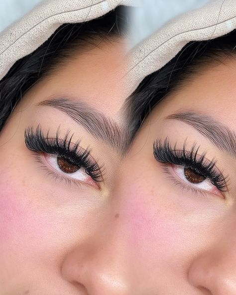 You can't go wrong with a Wispy Galore set 😍 I’m absolutely over the moon with how this Wispy Galore lash set came out! 💁‍♀️ My stunning client was loving the wet look but was ready to mix things up a bit. I’m so grateful she put her trust in me to craft a custom style just for her—enter the ‘Wispy Galore set’! It’s giving all the vibes: textured, dark, and irresistibly wispy! 🔥 I used my go-to Precious Beauty Lounge velvet lash trays in .05s CC to bring this gorgeous look to life. The end ... Velvet Lashes, The Wet Look, Lash Trays, Beauty Lounge, Wet Look, So Grateful, Lashes, Lounge, Moon