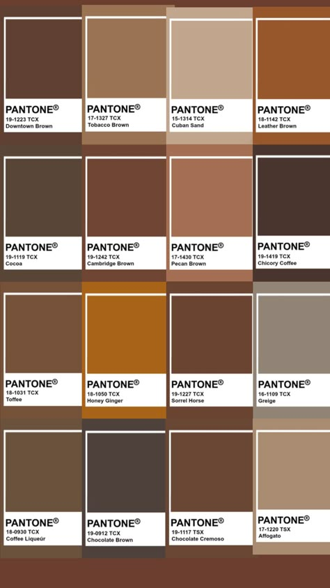 #pantone #autumn #colorinspo Coffee Pantone Colors, Shades Of Brown Pantone, Autumn Pantone Palette, Pantone Coffee Color, Mocha Mousse Pantone, Brown Pantone Palette, Pantone Color Palette Charts, Pantone Brown Shades, Pantone Color Of The Year 2025