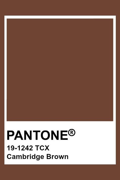 Pantone Swatches Brown, Brown Colour Pantone, Brown Swatches Colour Palettes, Downtown Color Palette, Brown Pantone Palette, Pantone Colors Brown, Pantone Brown Shades, Light Brown Pantone, Dark Brown Pantone