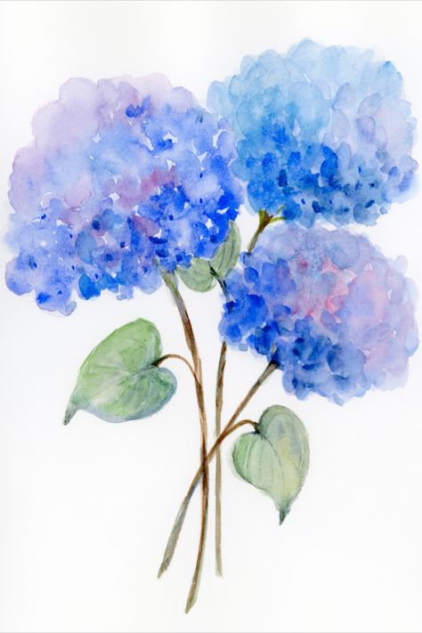 Watercolor Hydrangeas, Aesthetic Doodles, Watercolor Hydrangea, Nantucket Wedding, Art Examples, Oil Pastel Art, Watercolor Greeting Cards, Watercolor Ideas, Drawing Stuff