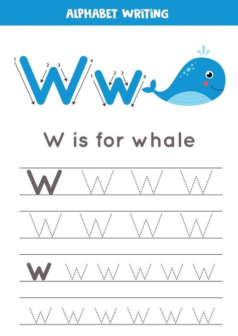 W is for whale. Tracing English alphabet worksheet. W Is For Whale, English Alphabet, Alphabet Worksheets, Tracing Worksheets, Literacy, Vector Art, Alphabet, Vector Free, Royalty Free