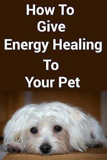 Spell For Pet Health, Reiki For Dogs, Animal Reiki Healing, Hand Chakras, Spirituality Chakras, Meditation Aura, Burn Sage, Pet Healing, Sage And Palo Santo