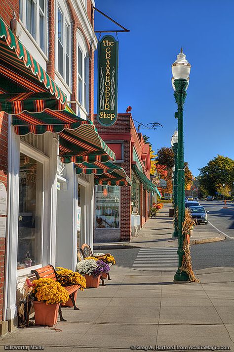 Main Street in Ellsworth, Maine Ellsworth Maine, Small Town Living, Small Towns Usa, Just A Small Town Girl, Bar Harbor Maine, Small Town America, Maine Vacation, Mount Desert Island, Small Town Life