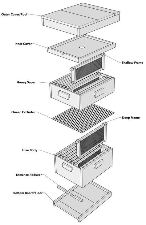 Bee Hive Plans How To Build, Bee Box Design, How To Build A Bee Hive, Bee Boxes Diy, How To Make A Bee Hive, Build A Bee Hive, Langstroth Hive Plans, Beehive Plans, Diy Bee Hive