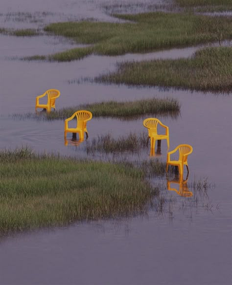 Pieza Madre: A Poignant Tribute by Andoni Beristain | Daily design inspiration for creatives | Inspiration Grid Album Covers, Photographer, Yellow, Twitter, Green, Photography, Instagram