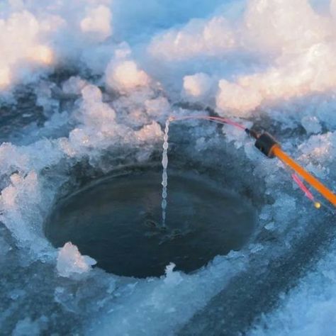 Ice Fishing Diy, Dream Bored, 12 Months Of The Year, Icewind Dale, Fish Background, Fly Fishing Art, Hiking Club, Fishing For Beginners, Jun 2023