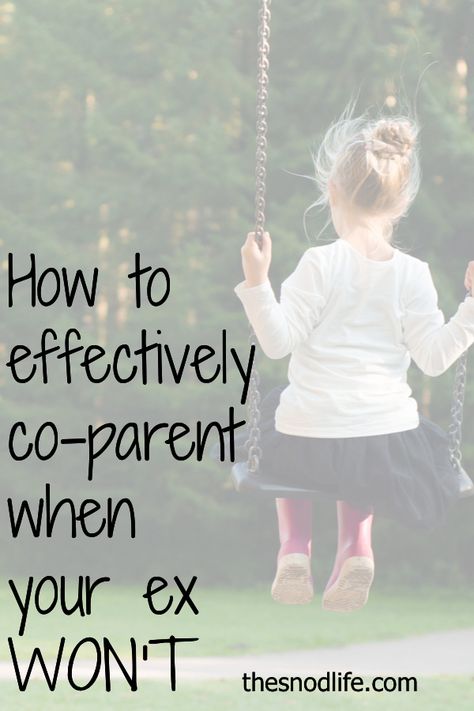 Parallel Parenting, Family Advice, Dentist Visit, Single Mom Life, Divorced Parents, Parenting Plan, Kids Schedule, Divorce And Kids, Discipline Kids