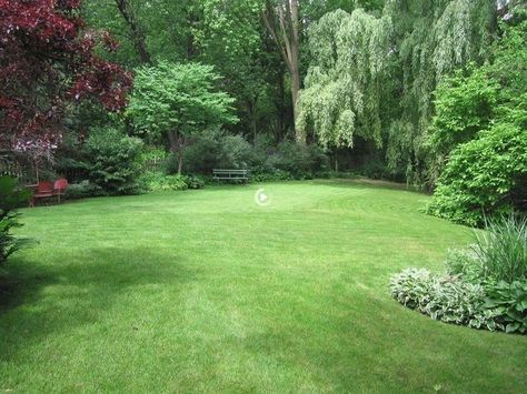 Large Yard Landscaping, Landscaping Along Fence, Large Backyard Landscaping, Patio Grande, Backyard Trees, Big Backyard, Large Yard, Large Backyard, Landscaping Tips