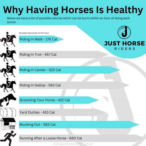 Did you know? www.justhorseriders.co.uk  #equestrian #horsegirl #justhorseriders #horseriding #horselife #horselover #equestrianlife #horse #pony #funny Things Only Horse Riders Understand, Equestrian Tips, Funny Horse Memes, Horse Memes, Equestrian Quotes, Horse Facts, Equestrian Problems, Horse Boarding, Horse Grooming